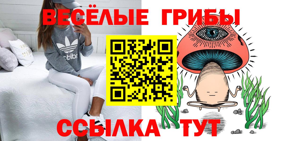 Псилоцибиновые грибы ЛСД Партизанск