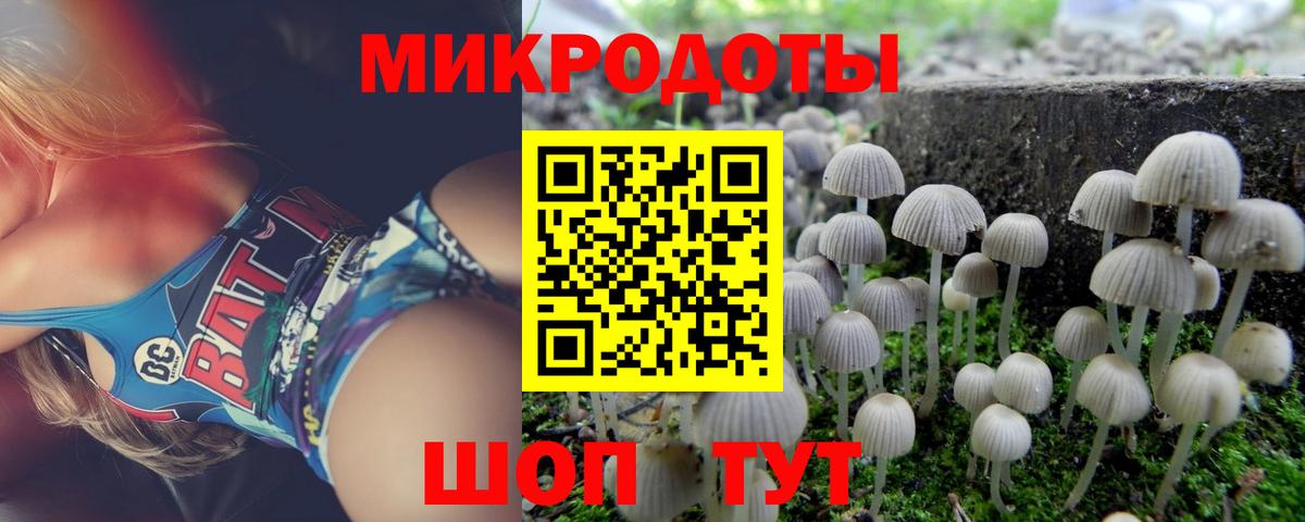 Галлюциногенные грибы Psilocybe  Вход с VPN  Партизанск 